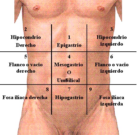 DEFINICION DE DOLOR ABDOMINAL definicion de dolor abdominal: