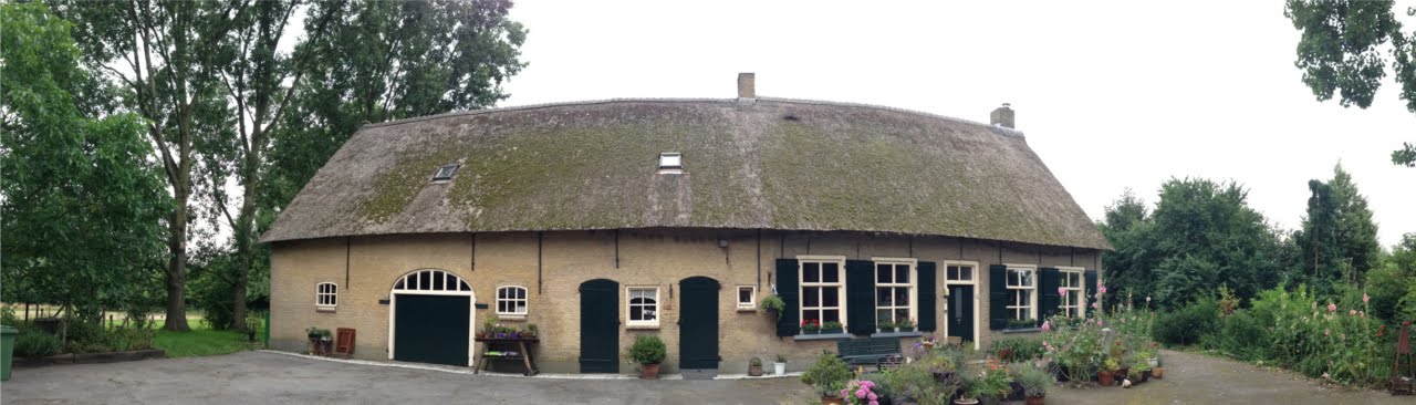 Ann's hoeve