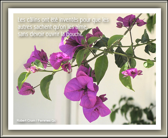Poeme Amour Poesie Et Citations Panneaux Sur Les Calins