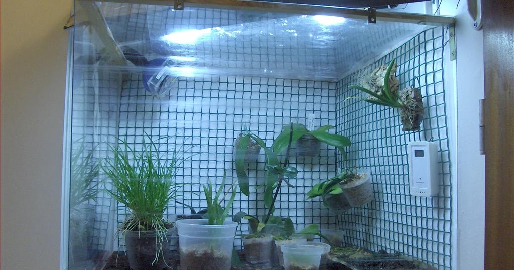 Orchids How To Orchidarium shelf, self made (DIY).