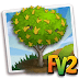 Fv 2 Arjuna Tree (Elder ,Heirloom, Tree )