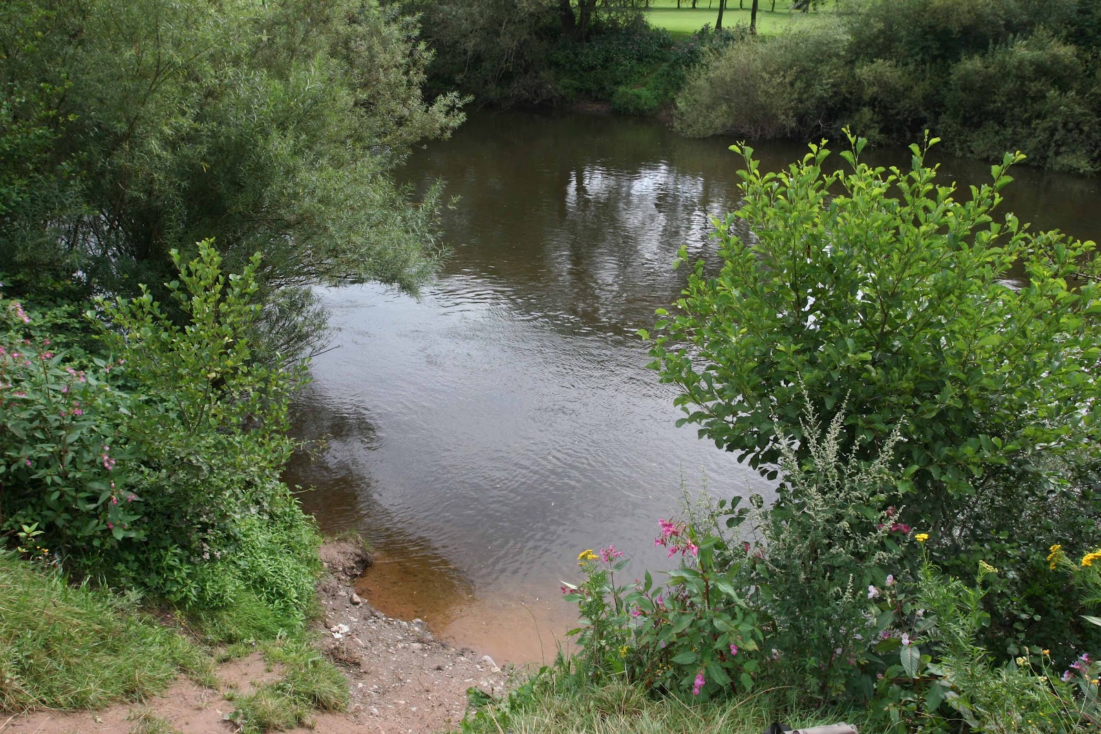 woody's angling centre