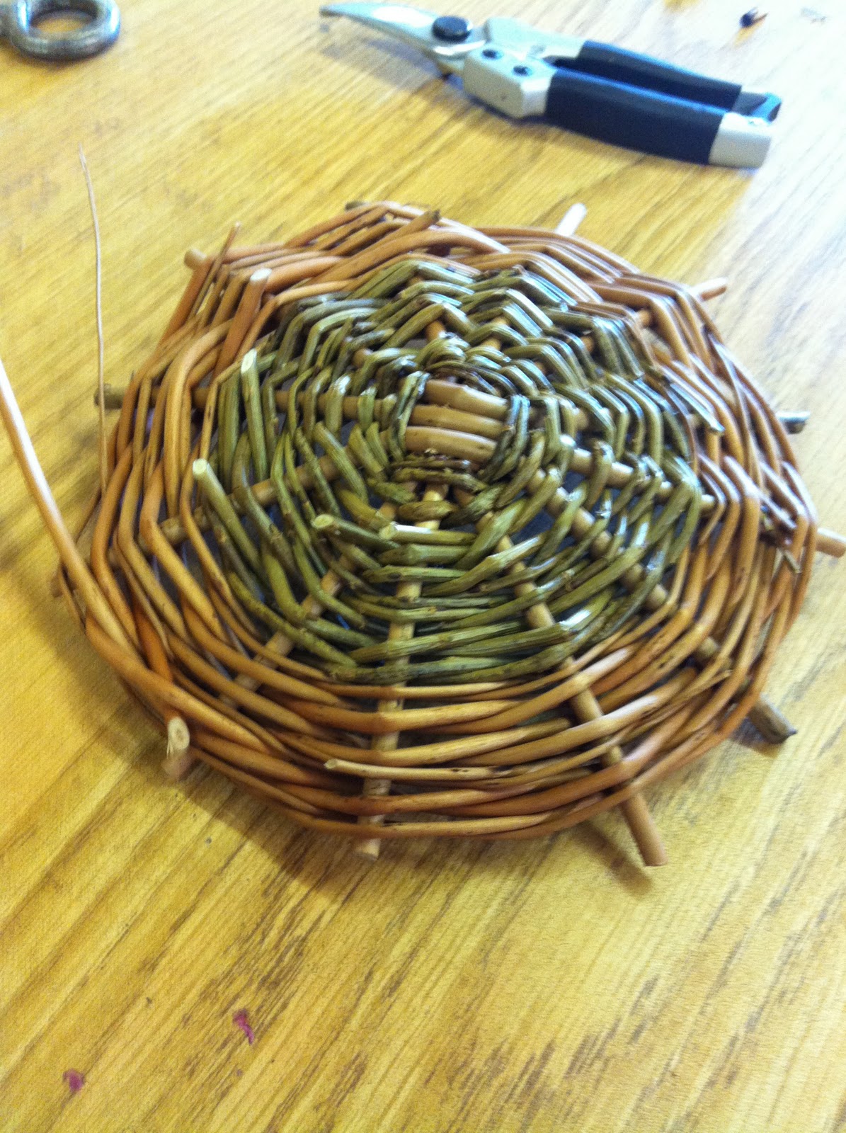 Lives By The Woods Basket cases