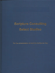 Scripture Consulting Select Studies