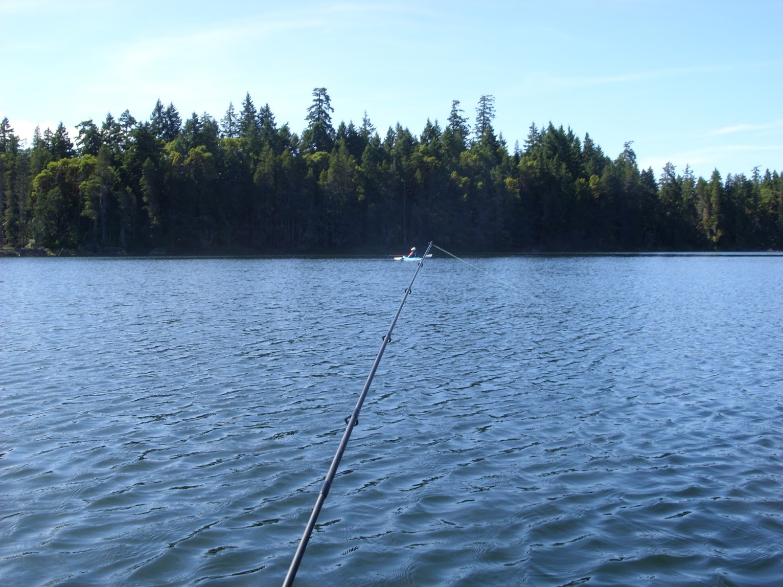 Left Coast Mumblings by Colin T. Paterson Trout Fishing Mid Vancouver