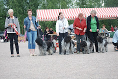 Kennel Trasseli BIS 1 - kasvattaja erikoisnäyttelyssä 2015