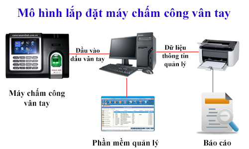Tại sao chấm công vân tay lại được quan tâm nhiều hơn các hình thức chấm công khác.