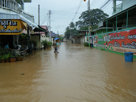 ระบบนิเวศ