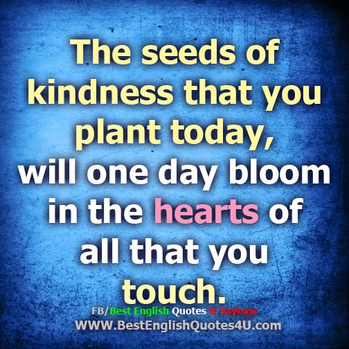 Plant Seeds Of Kindness Quotes. QuotesGram
