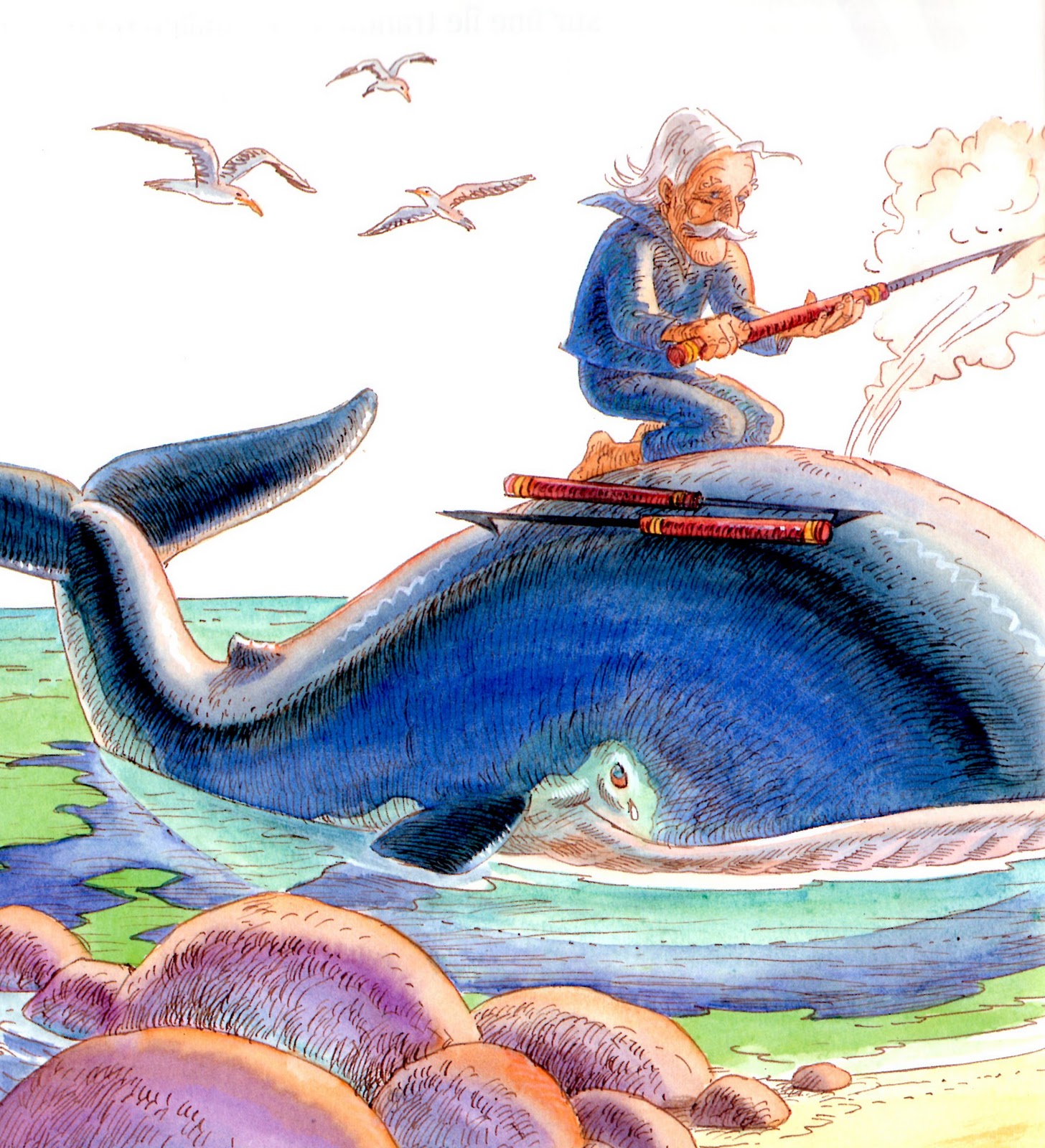 Leila Et La Baleine Chanson at Armando Barrett blog