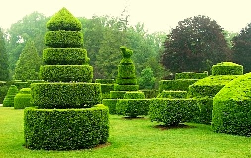 Kreativiti seni gubahan pokok hiasan - Relaks Minda