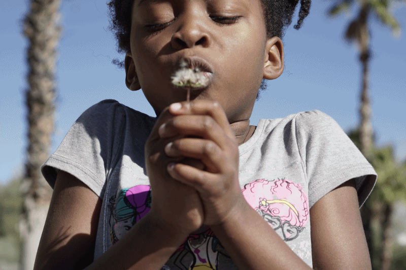 Blowing Dandelions GIF A6000 and Minolta 50mm Sony Alpha / NEX Emount