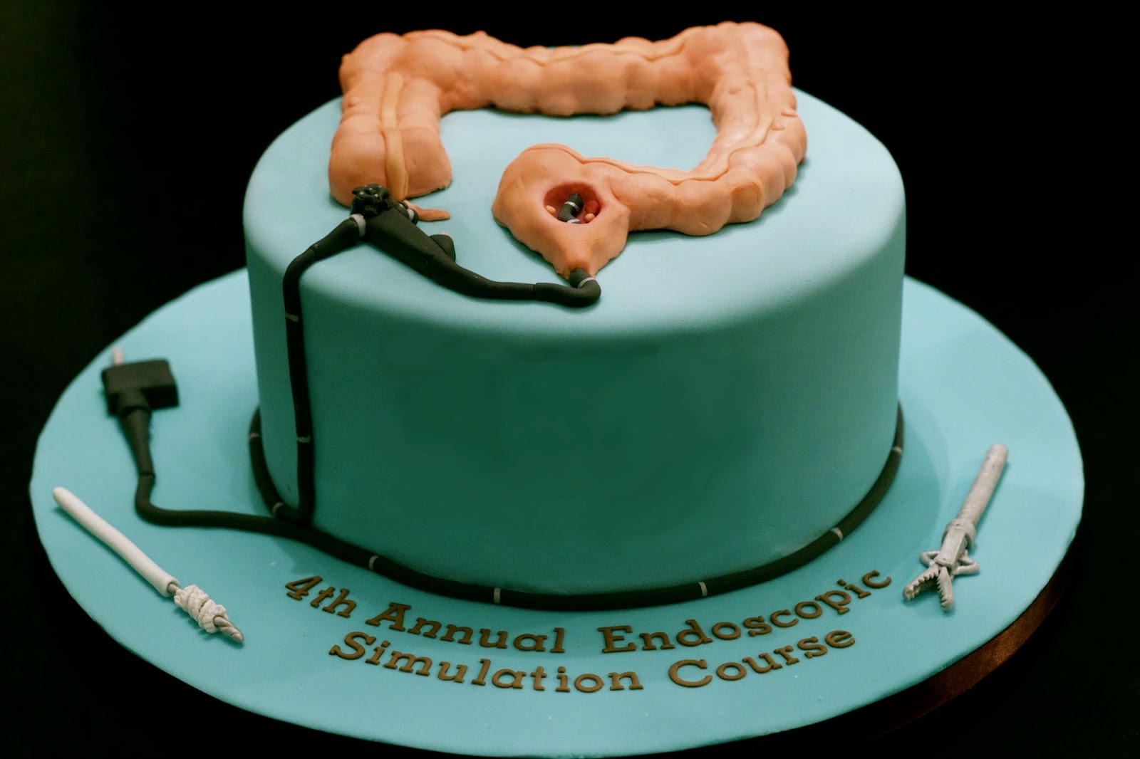 SweetD Cakes That time I made an edible colon...