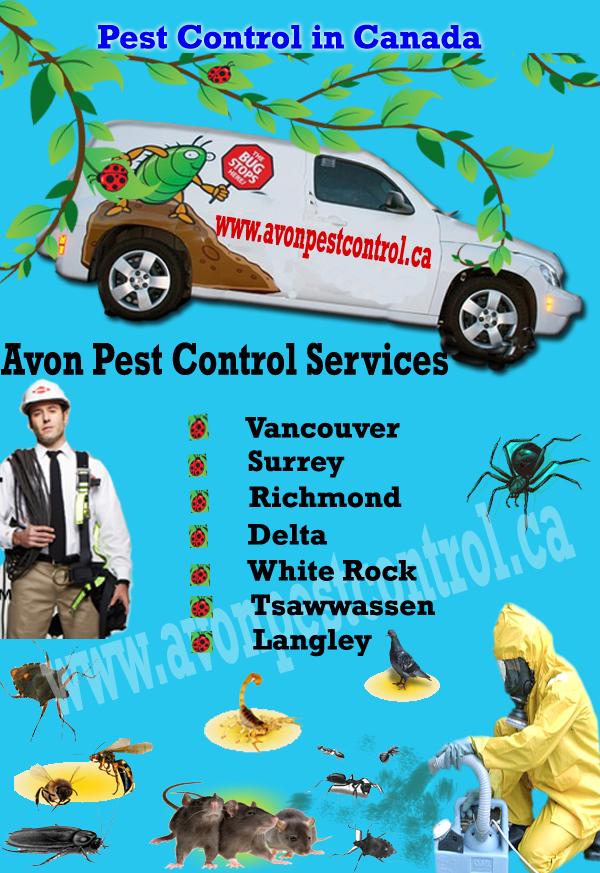 Pest+Control+inCanada.jpg