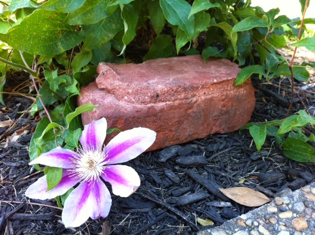 The Sidewalk Home