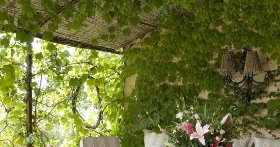 New Home Interior Design: Garden rooms