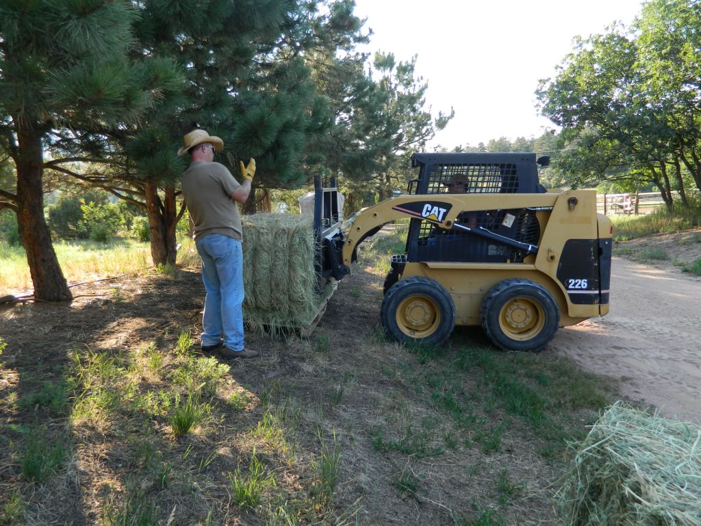 Meanwhile, back at the ranch... Hay! It's Eggstrordinary! We've gone