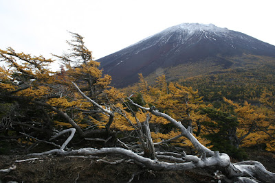 Núi phú sĩ - cảnh đẹp nơi xứ sở mặt trời mọc Fuji6n%25C3%25BAi+ph%25C3%25BA+s%25C4%25A9+m%25C3%25B9a+thu