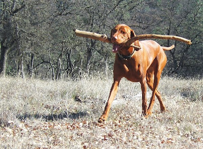 speak softly and carry a big stick