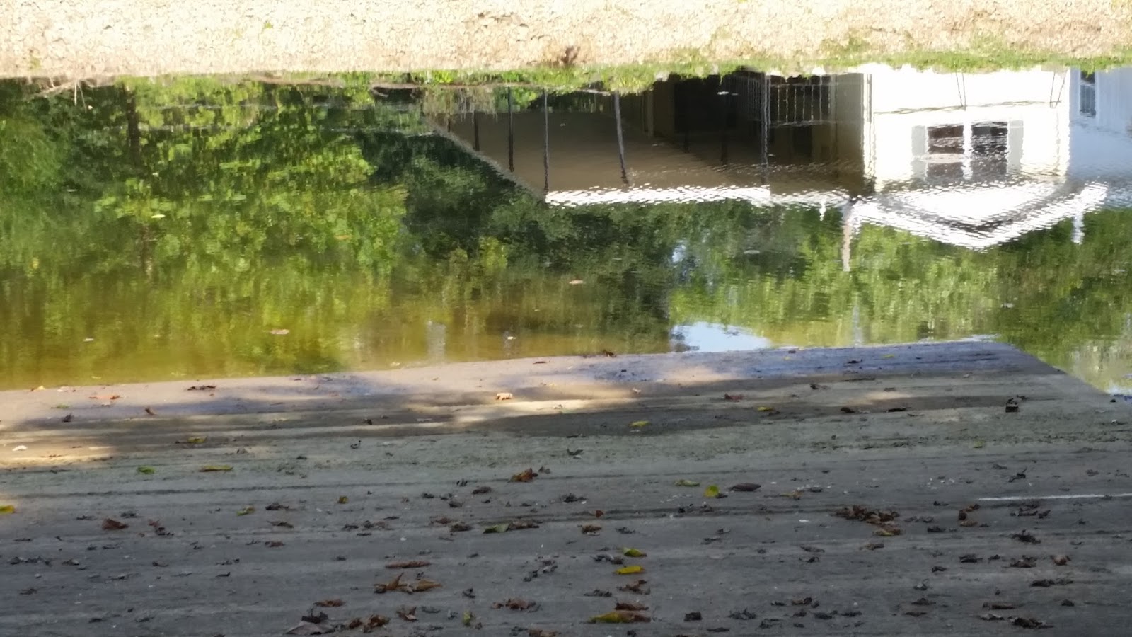 Technically Homeless Campground Review Turkey Creek RV Village