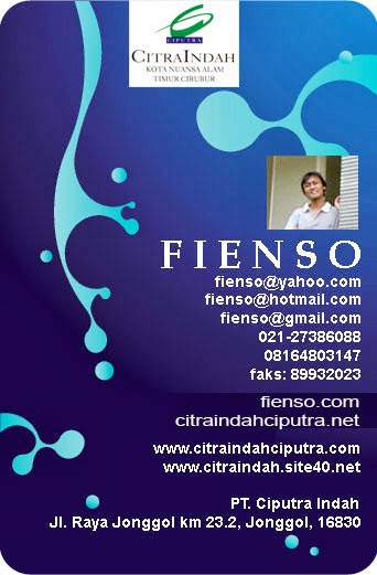 Fienso