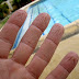 El mito de que los dedos mojados se arrugan porque absorben agua