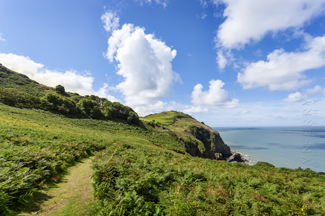 Path to Wingcliff Bay at the Valley of Rocks near Lynton by Martyn Ferry Photography