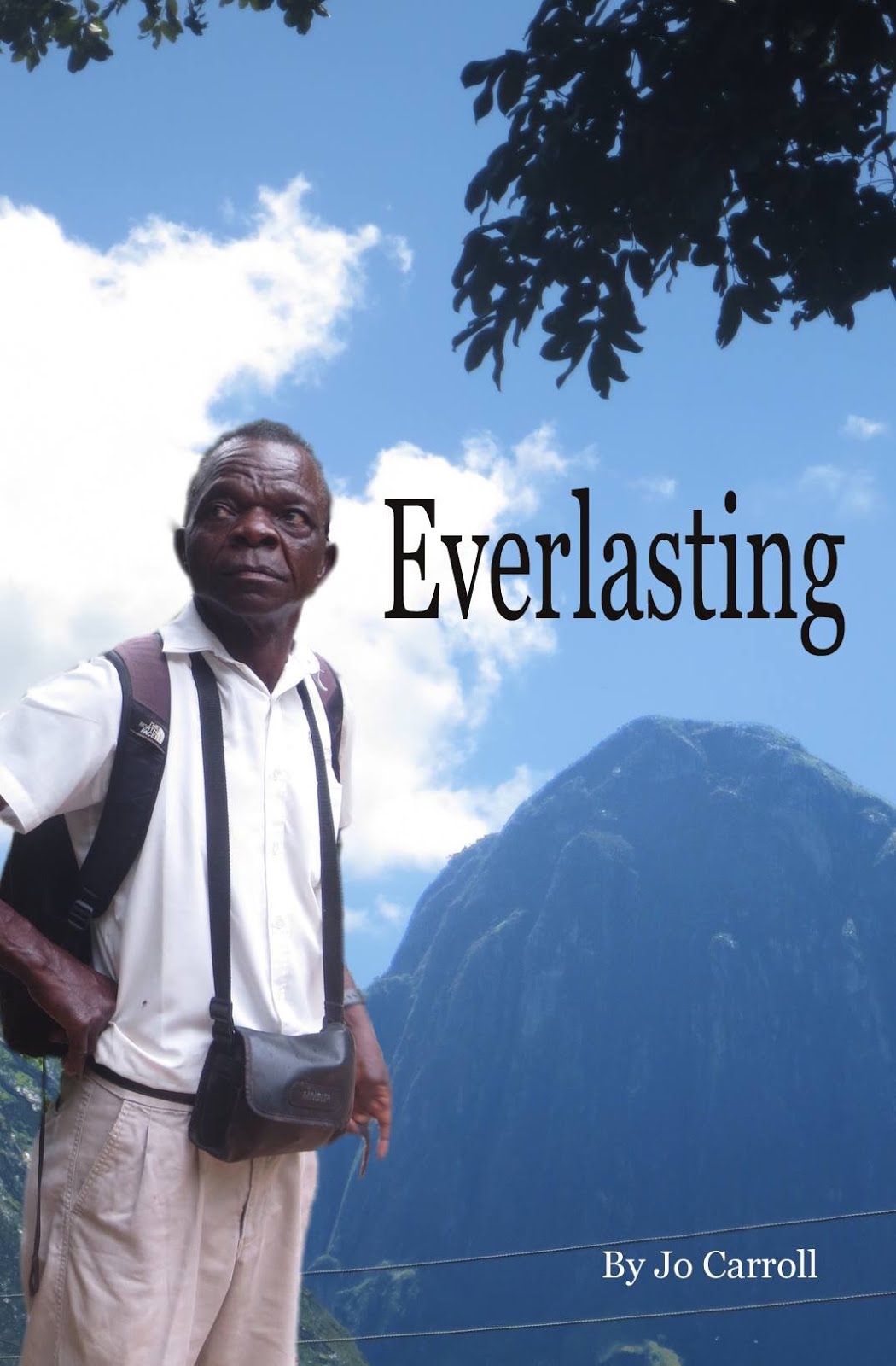 Everlasting - the book!