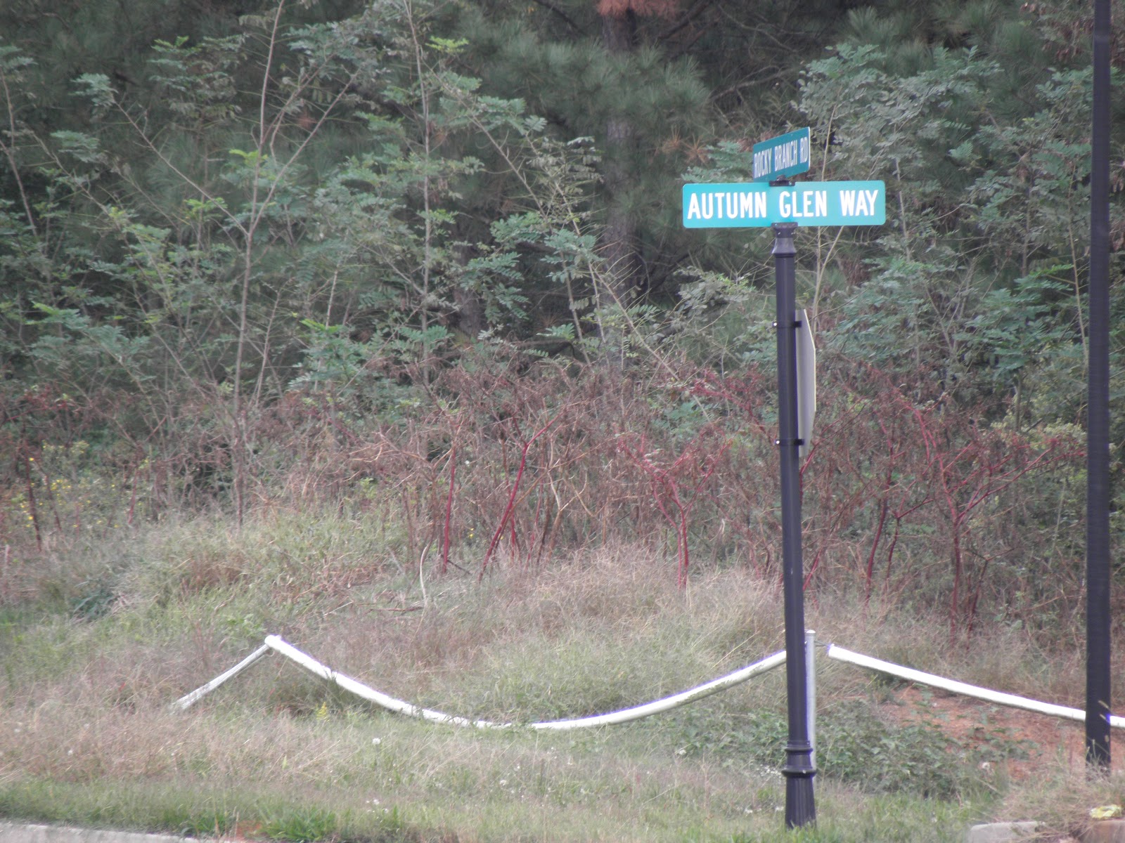 Oconee County Observations Presbyterian Homes of Offering