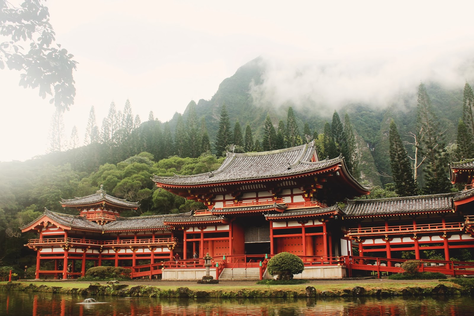 Kylie Stucki BYU Hawaii, Visual Arts