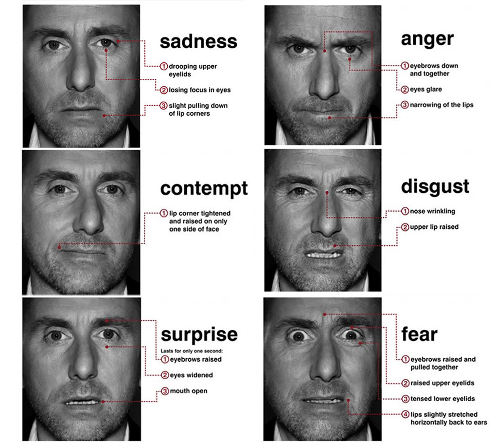 Micro Expression Training Tool Mett Download Free Micro Expression Training Tool Mett Download Free
