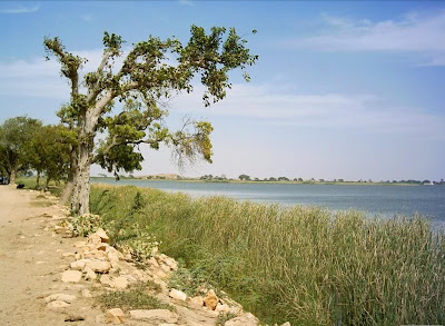 (Pakistan) - Karachi - Haleji Lake Wildlife Sanctuary