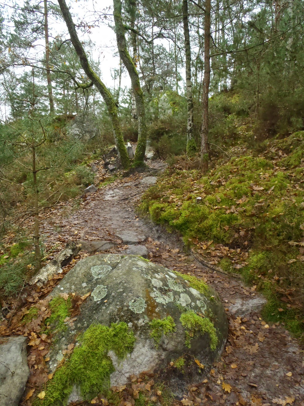 rencontres fontainebleau 77