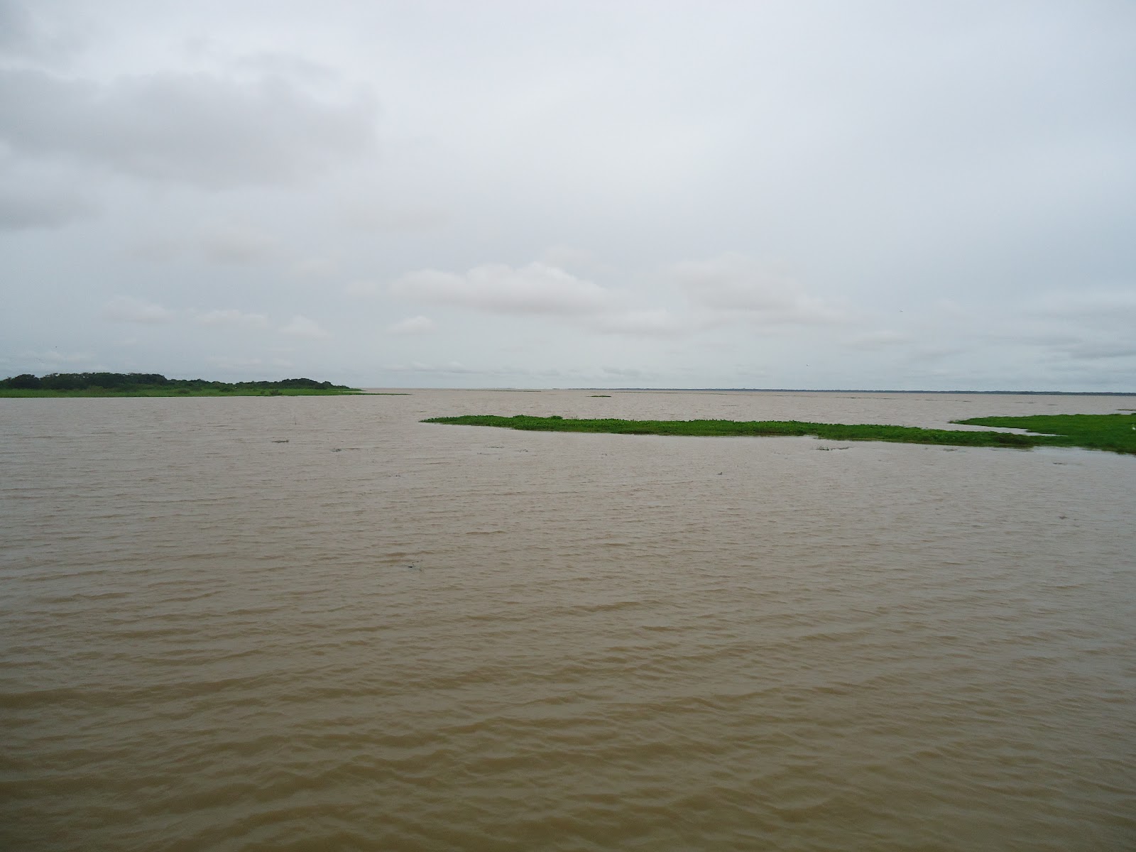 na veneza do marajó santa cruz do arari