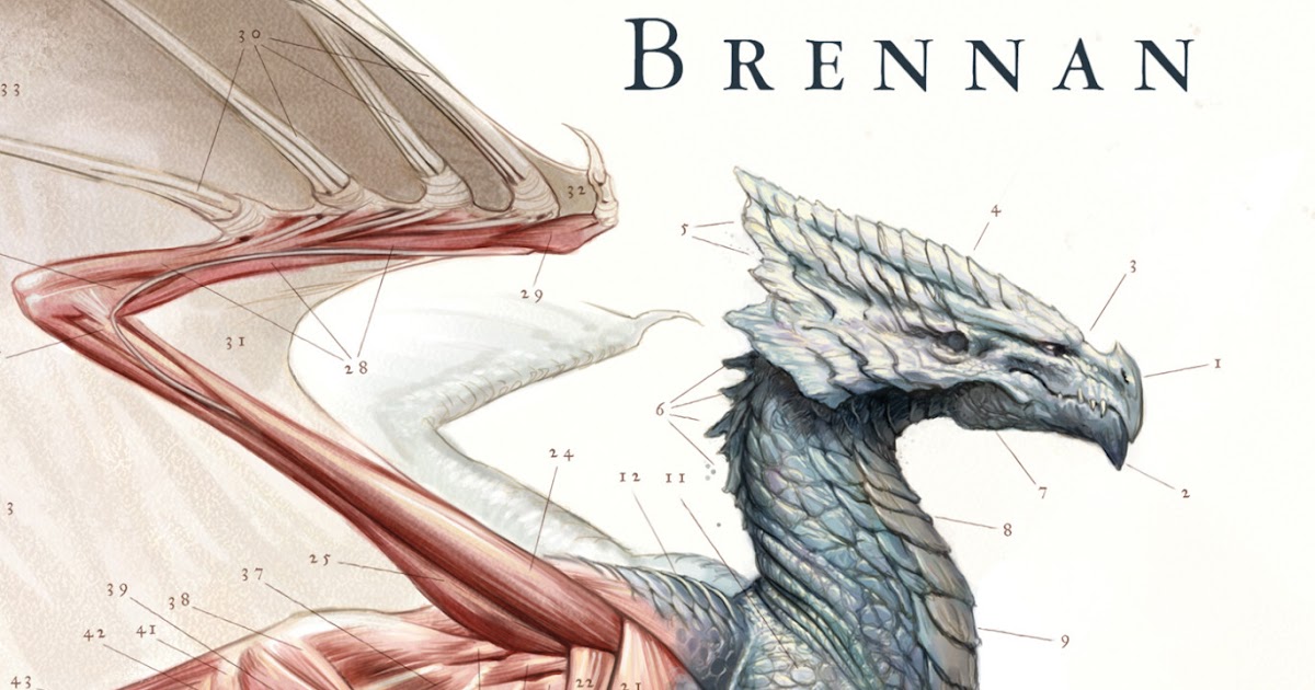 Fantasy Book Critic “A Natural History of Dragons A Memoir by Lady Trent” by Marie Brennan