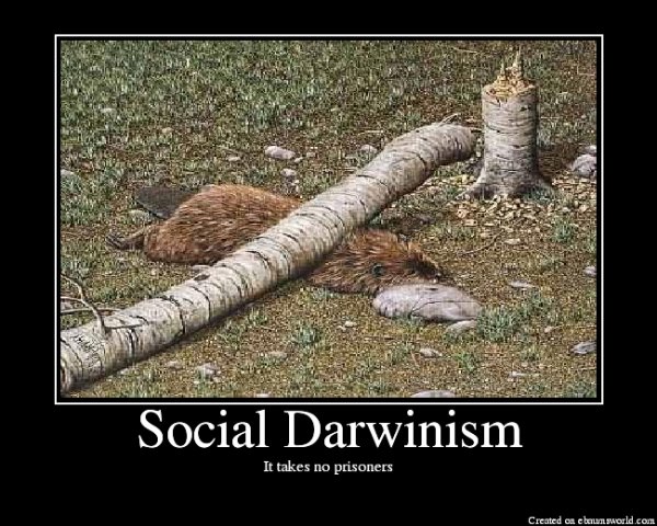 Social+Darwinism+it+takes+no+prisoners.j