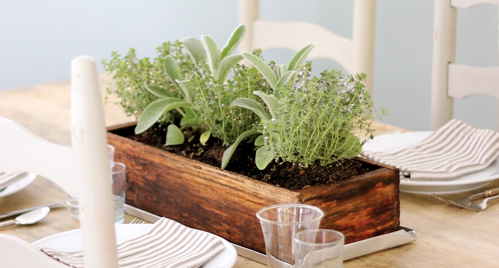 Jenny Steffens Hobick Easy Summer Centerpiece Planted Herbs