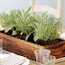 Easy Summer Centerpiece | Planted Herbs