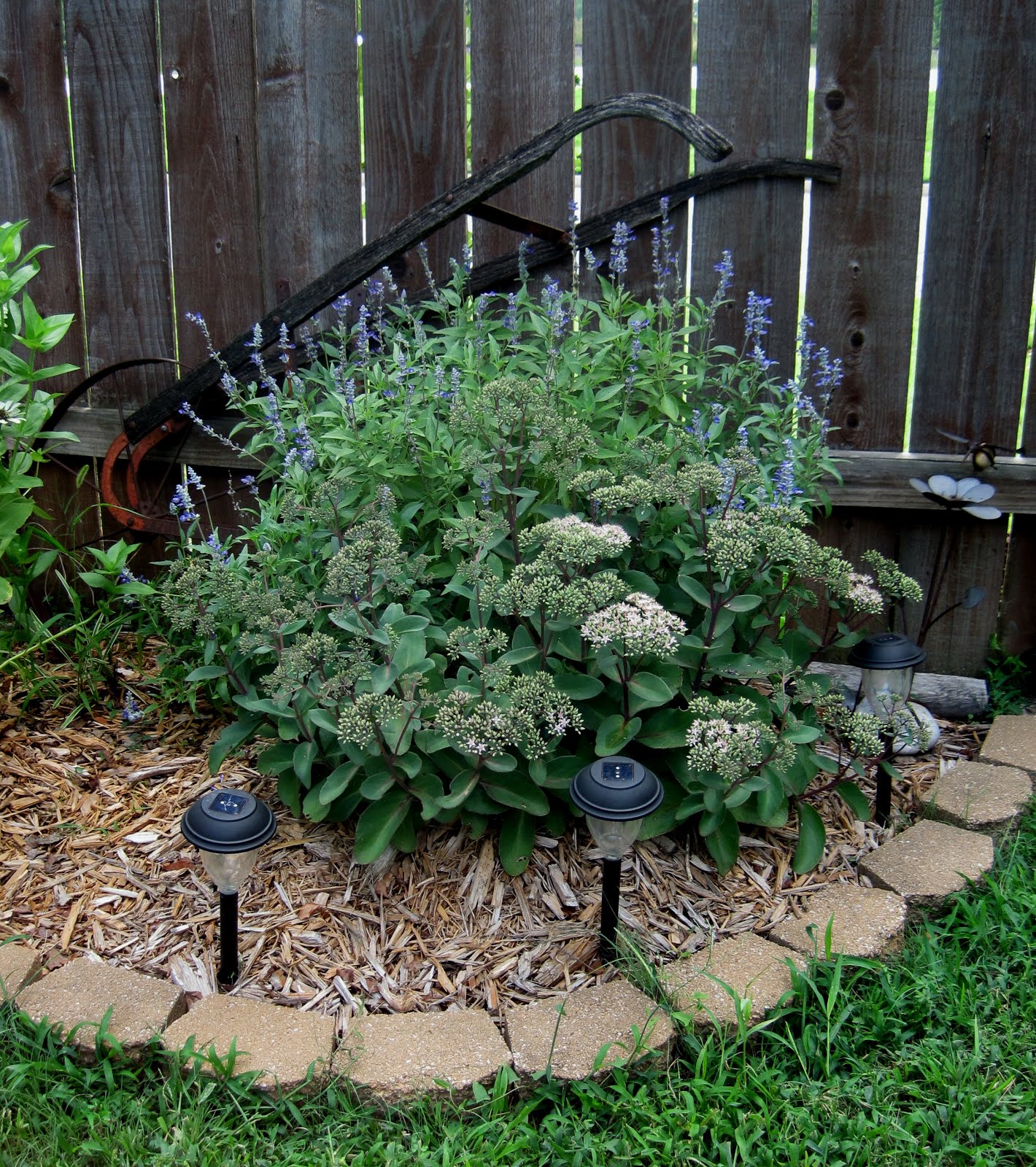 The Shed Garden. . .