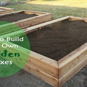 Garden Tips! | A Collection of Photos