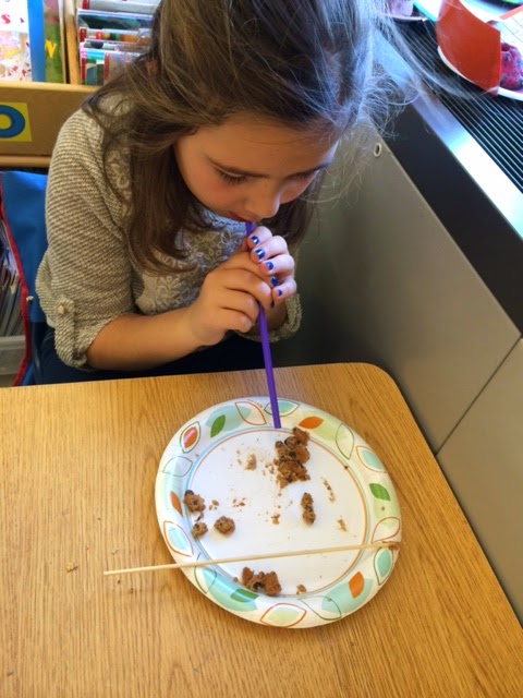 Splendid Days in Second Grade!