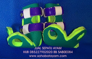 sepatu ayam, sepatu ayam antibubul, cara menghindari bubul ayam