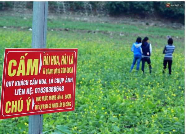 [Image: Thuong-ngoan-ve-voi-cac-mua-hoa-can-co-van-hoa-5.jpg]