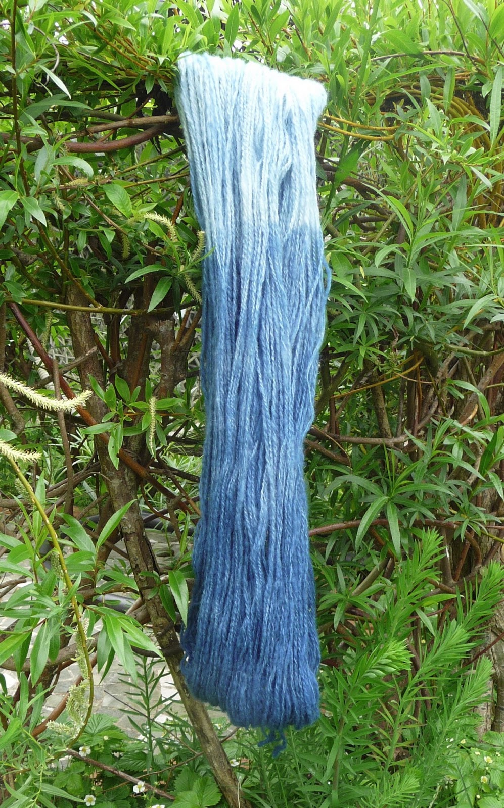 Wool - Tribulations of Hand Spinning and Herbal Dyeing: Making Woad Dye
