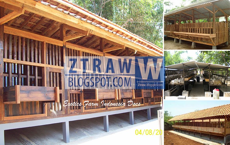 Gambar 14 Ternak Kambing Modern Ztraw Macam Kandang Gambar