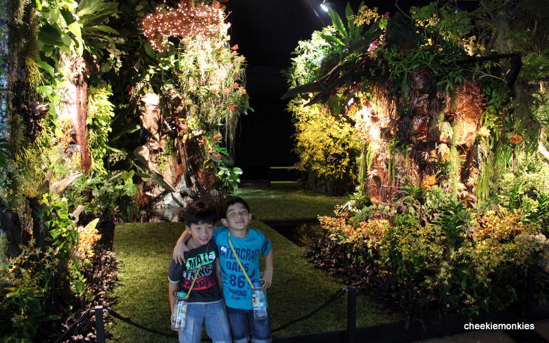 Horticulture Landscaping Types Of Garden