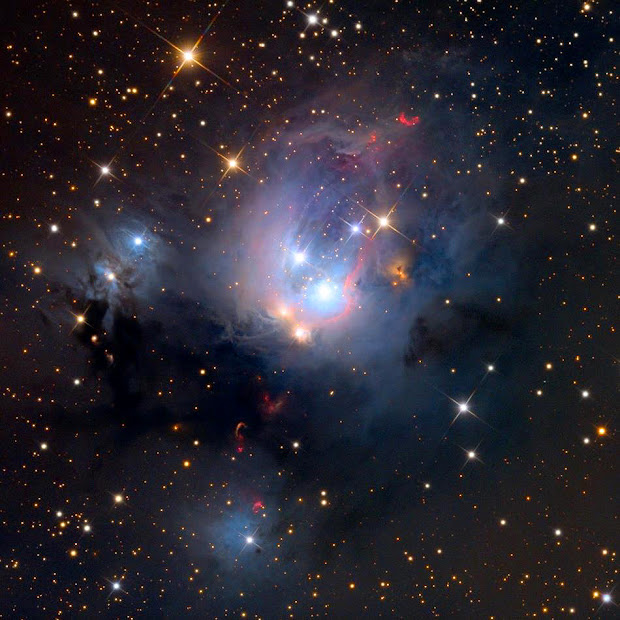 Gorgeous Reflection Nebula NGC 7129 in Cepheus