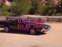 RARE AND HARD TO FIND TITLES TV and Feature Film Too Good to Be True