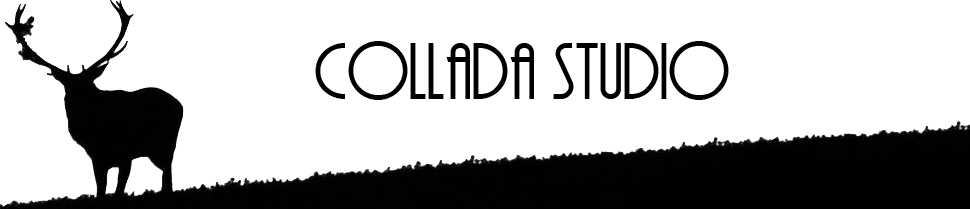 Collada Studio