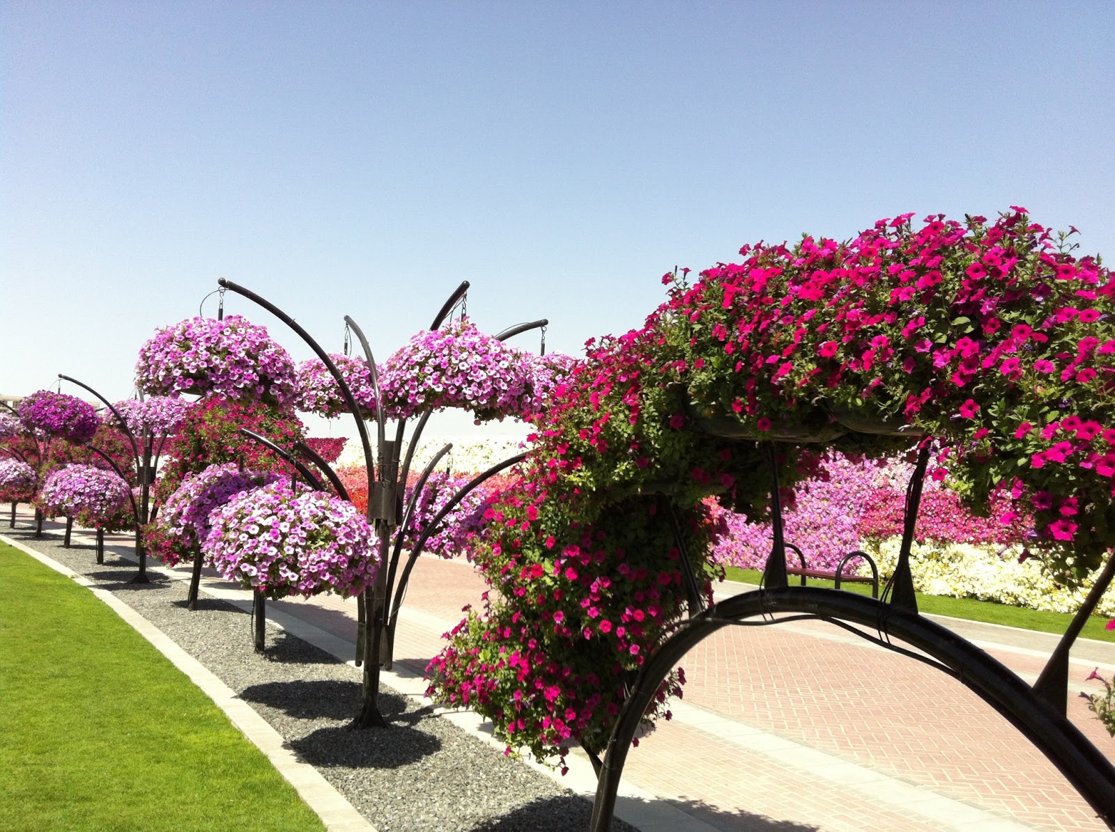 Flower Garden Miracle Garden Location Map